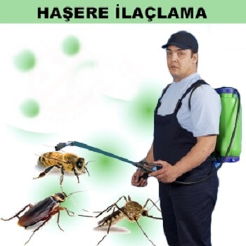 Çobanlar Böcek İlaçlama